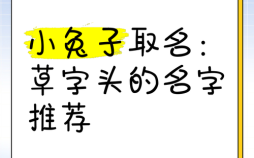 男孩草字头吉利的名字属兔 草字头最旺女孩名字属兔