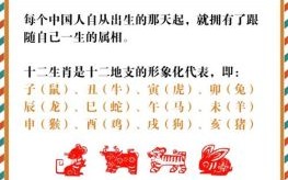 七班九点二是什么生肖？七班九点的动物十二生肖指