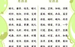 诗经楚辞取名字大全免费 兔年诗经楚辞500名字女孩