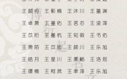 男孩姓王金字旁名字大全集 王姓金字旁女孩取名字有哪些字