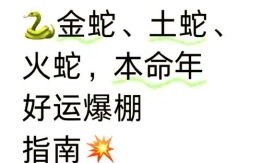 属蛇人适合在哪个方位经商属蛇的经商应选什么方向