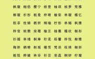 14画的汉字取名常用字女 14笔画的字适合女孩取名字
