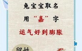 女孩名字大全2021属兔免费 女孩叫什么名字好听又有意义兔年