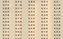 免费取名字大全
