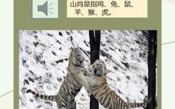 干辛万苦是什么生肖？辛十二生肖指哪个动物