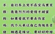 情深似海指什么生肖