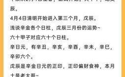 辛金日主性格解析，辛日主巨富命格