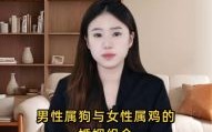 属鸡和属狗能结婚吗 属鸡和属狗的婚姻情况如何