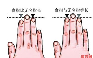 无名指比食指长代表什么 无名指比食指长是少数现象吗