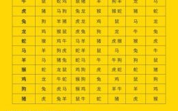 凖是什么生肖？险打一正确生肖