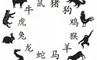 鞭打天下代表什么生肖 鞭打天下指哪一动物