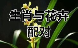12生肖金花是什么？十二生肖哪个是金花