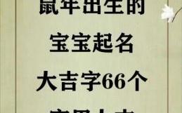 金鼠女宝宝要起什么名字 2026金鼠女孩取名