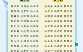 女孩名字姓杨的哪个好听 女孩名字王子后面配什么字好听