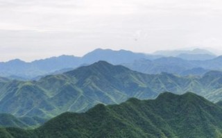 名字带萍的女孩名字 萍名字女孩