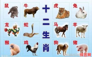 迈入庚辰更不同是什么生肖？庚在十二生肖代表什么