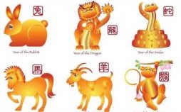 枯燥无味指什么生肖