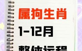 属狗今年多少岁