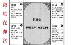 二零二五年八月二十二日男命紫微斗数命盘八字详解