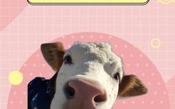 一筹莫展是什么生肖？一筹莫展打一最佳动物