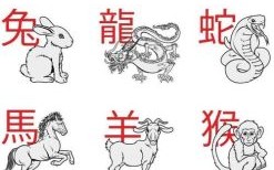 勤俭持家是哪个生肖 勤俭持家是美德猜一生肖