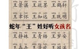 王姓 女孩 王姓女孩属蛇的取名