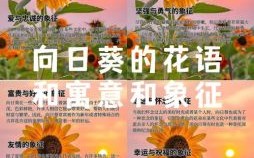 花朵象征含义解读 花朵的意义有哪些