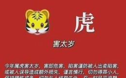 大闹陈塘关是什么生肖？2025年南方属什么生肖