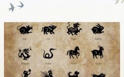 道头生肖是什么生肖？道指的是哪一个生肖