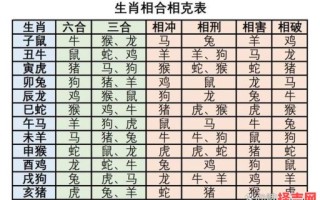四面空壁是什么生肖？铜墙铁壁打一生肖