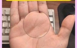 能够改变手相吗手相感情线图解