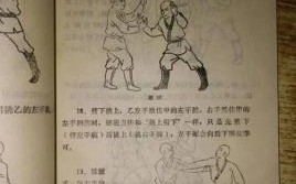 五行剑谱招法五行拳谱图解