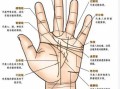 手相能反映肠胃不佳吗胃健康者的手相色泽