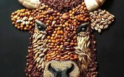 五谷丰登对应一个正确生肖 五谷丰登对应一个最佳生肖