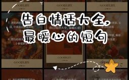 告白情话最暖心的一个片段