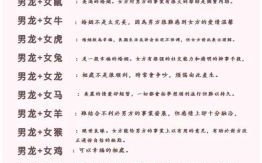 属龙今年婚姻运势 属龙女今年婚姻运势