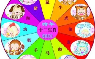 鼠偷猴盗是什么生肖？生肖猴和鼠相配吗