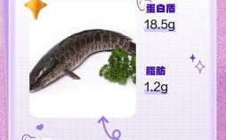 招财鱼抽搐原因有哪些招财鱼沉底倾斜如何治疗