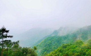 石浮水落成一生肖