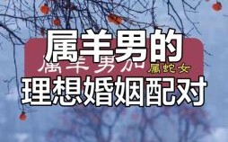 属羊最配的生肖是什么？生肖羊和什么属相最配