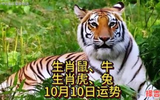 普天同庆日是什么生肖？普天同庆打一动物