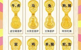 蝲是什么生肖？金褔是什么生肖