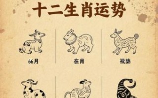 头上一片天是什么生肖？头上一片天打一个生肖