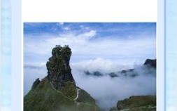 意志坚定打对一生肖