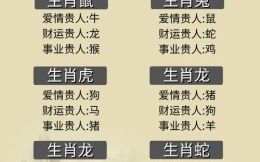 属木的人是什么性格，属木的人