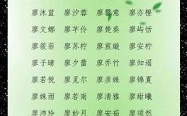 姓廖取名洋气好听女孩 姓廖取什么名字好听女孩子