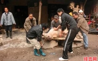 梦见别人杀猪 男性梦见他人杀猪预示什么