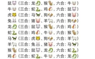 十的生肖是什么生肖？三一打一正确生肖是什么