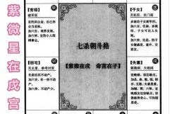 紫微斗数星象推演 紫微斗数命理测算
