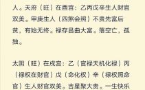 2025年10月14日男命紫微斗数解析 二零二五年八月二十三生辰八字命盘